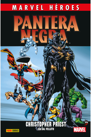 Marvel heroes 110 pantera negra 2