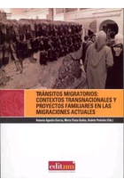 Tránsitos migratorios: Contextos transnacionales y proyectos familiares en las migraciones actuales