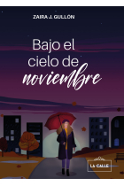 Bajo el cielo de noviembre