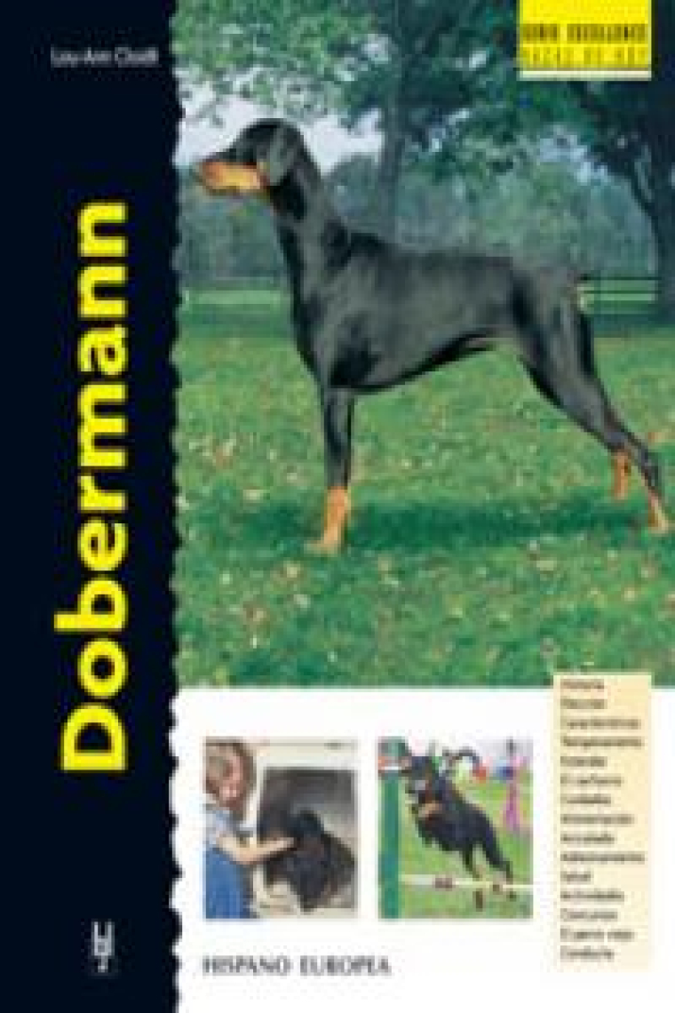 Dobermann