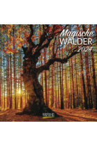 Magische Wälder 2024