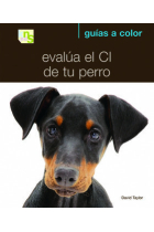 Evalúa el CI de tu perro