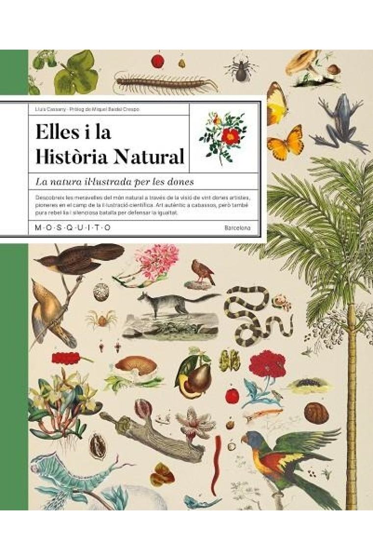 ELLES I LA HISTORIA NATURAL