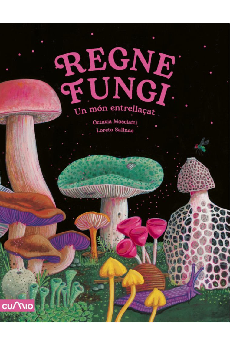 REGNE FUNGI