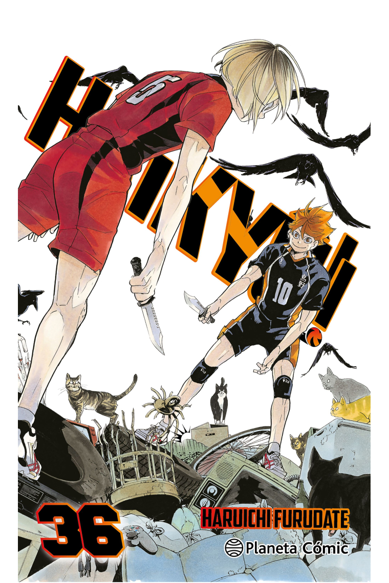 Haikyû!! nº 36/45