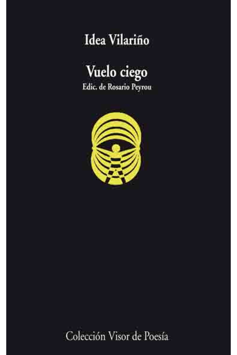 Vuelo ciego