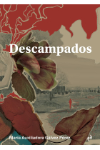 Descampados: caminar los paisajes revolucionarios en la ciudad somática