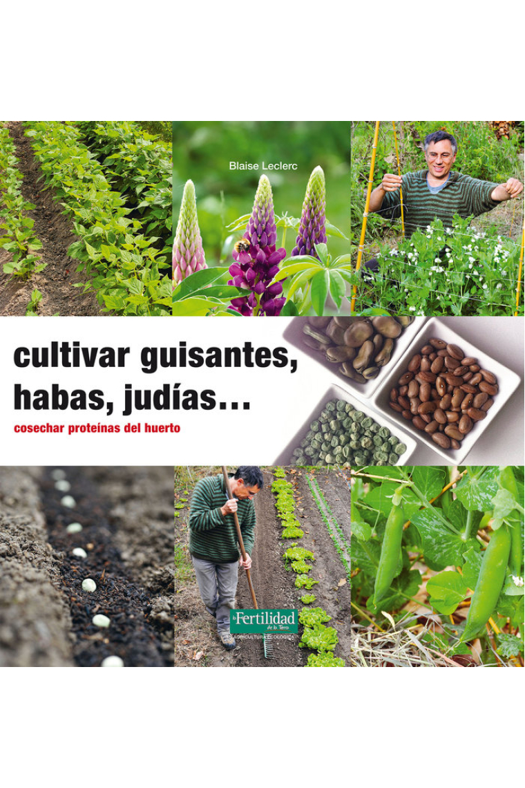 Cultivar guisantes, habas, judías...