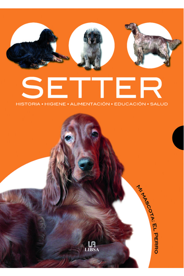 Setter