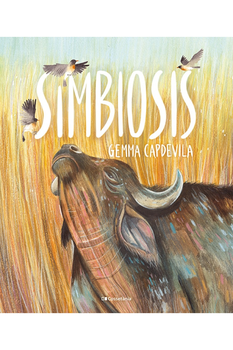 Simbiosis