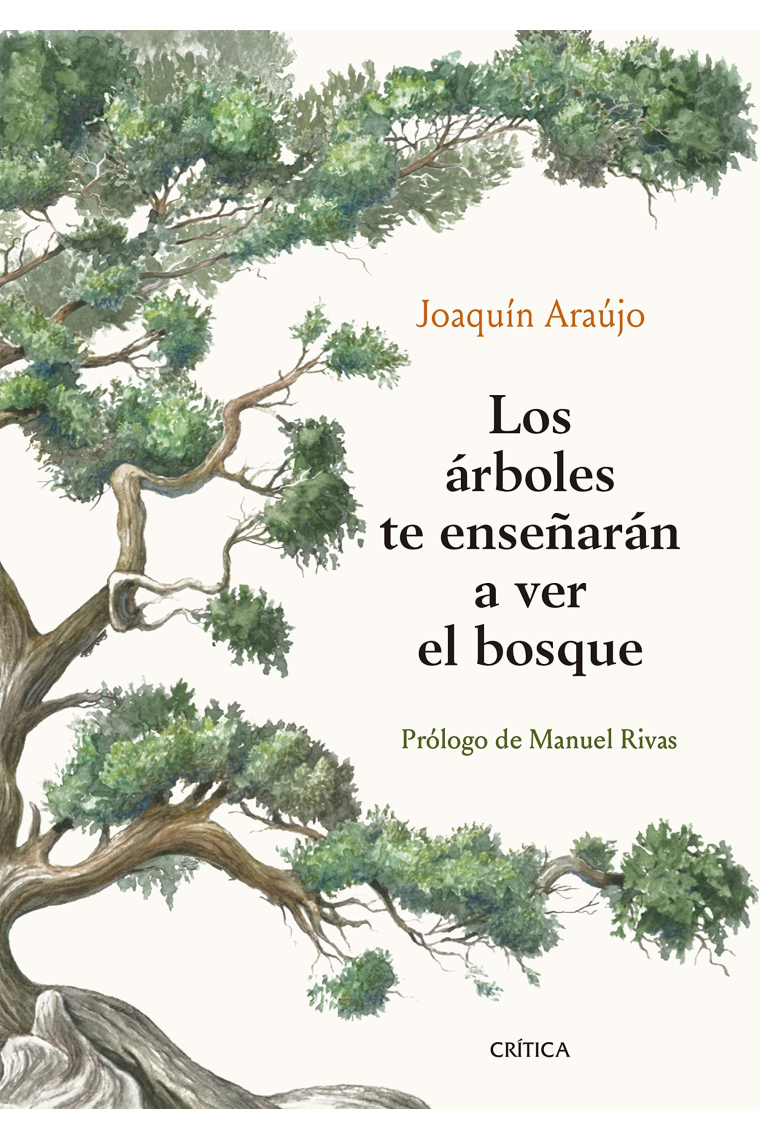 Los árboles te enseñarán a ver el bosque