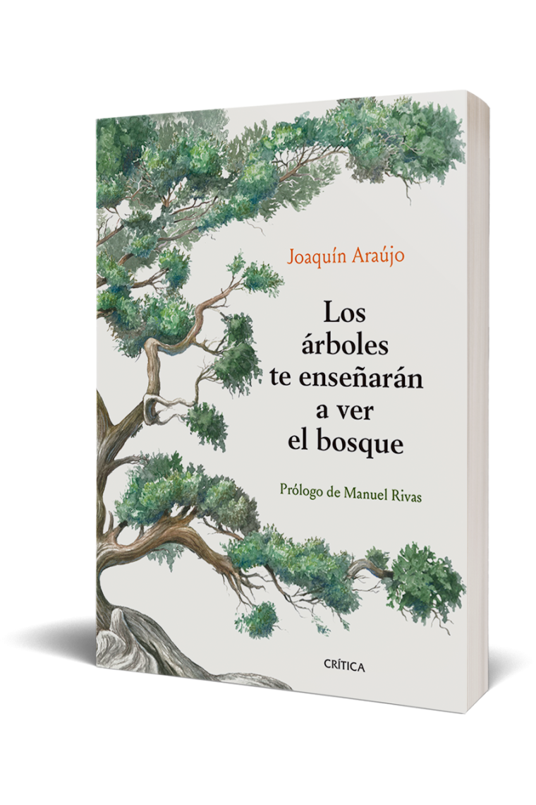 Los árboles te enseñarán a ver el bosque