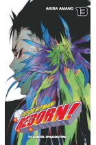 Tutor Hitman Reborn nº 13/42