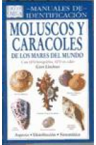 Moluscos y caracoles de los mares del mundo.