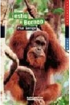 Un estiu a Borneo