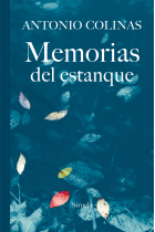 Memorias del estanque