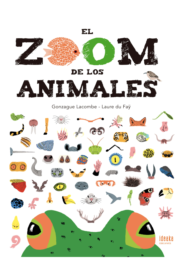 El zoom de los animales