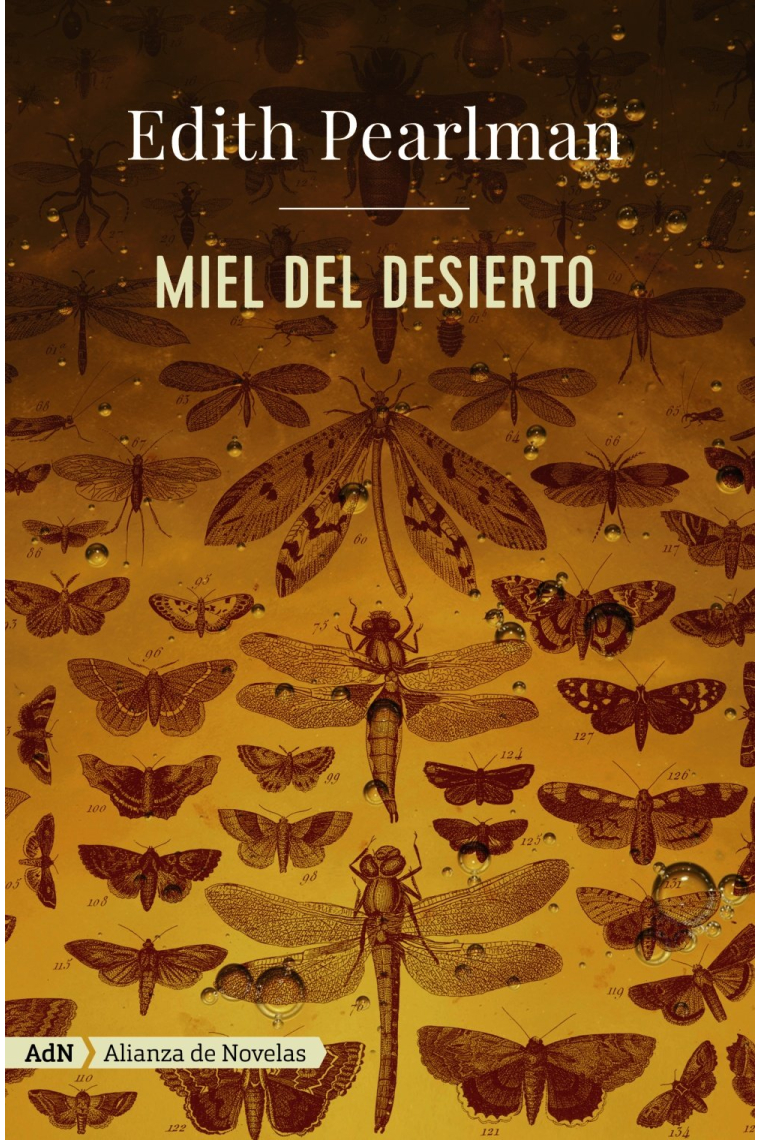 Miel del desierto