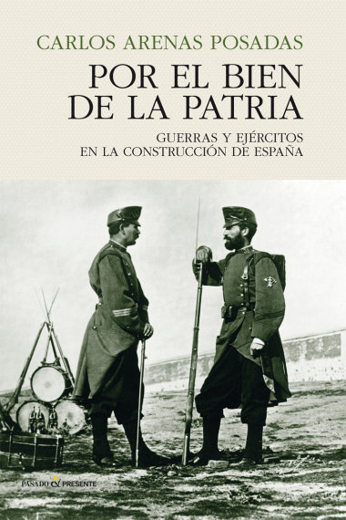 Por el bien de la patria. Guerras y ejércitos en la construcción de España