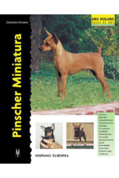 Pinscher Miniatura