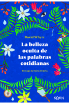 La belleza oculta de las palabras cotidianas