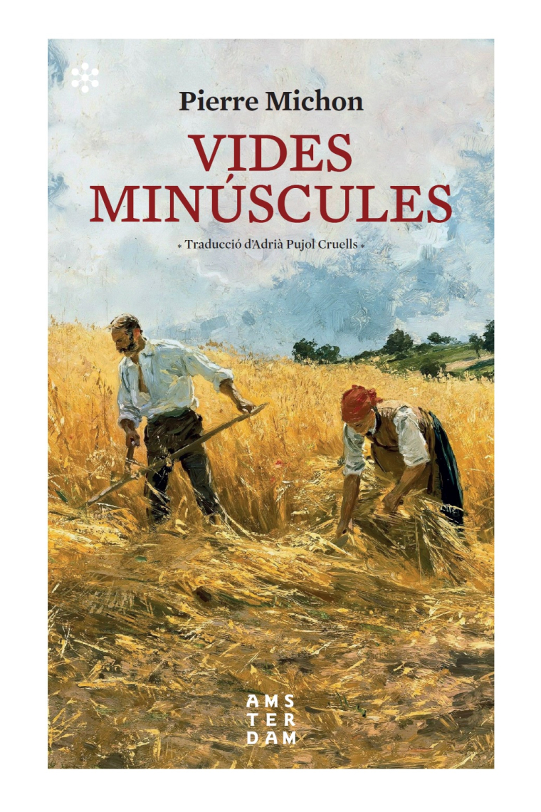 Vides minúscules