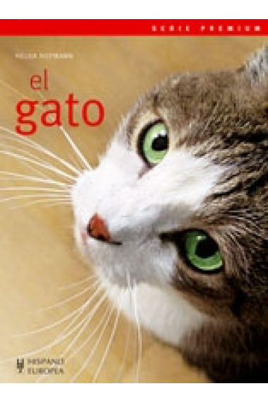 El gato