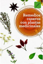 Remedios caseros con plantas medicinales