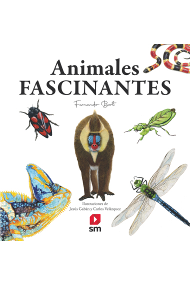 Animales fascinantes