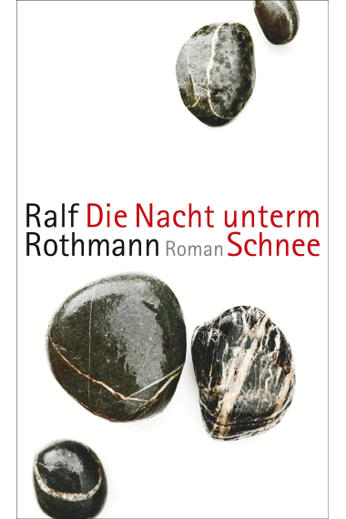 Die Nacht unterm Schnee: Roman