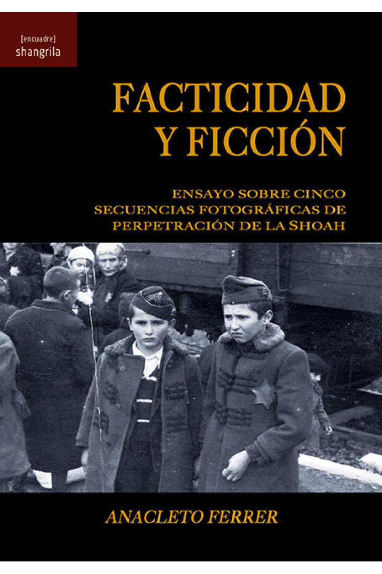 Facticidad y ficción