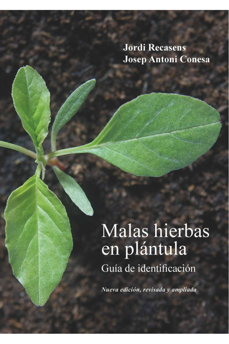 MALAS HIERBAS EN PLANTULA