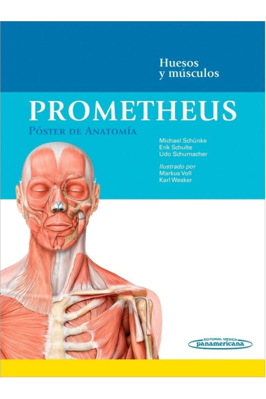 PROMETHEUS:Poster Anatomia.Huesos-Musc.