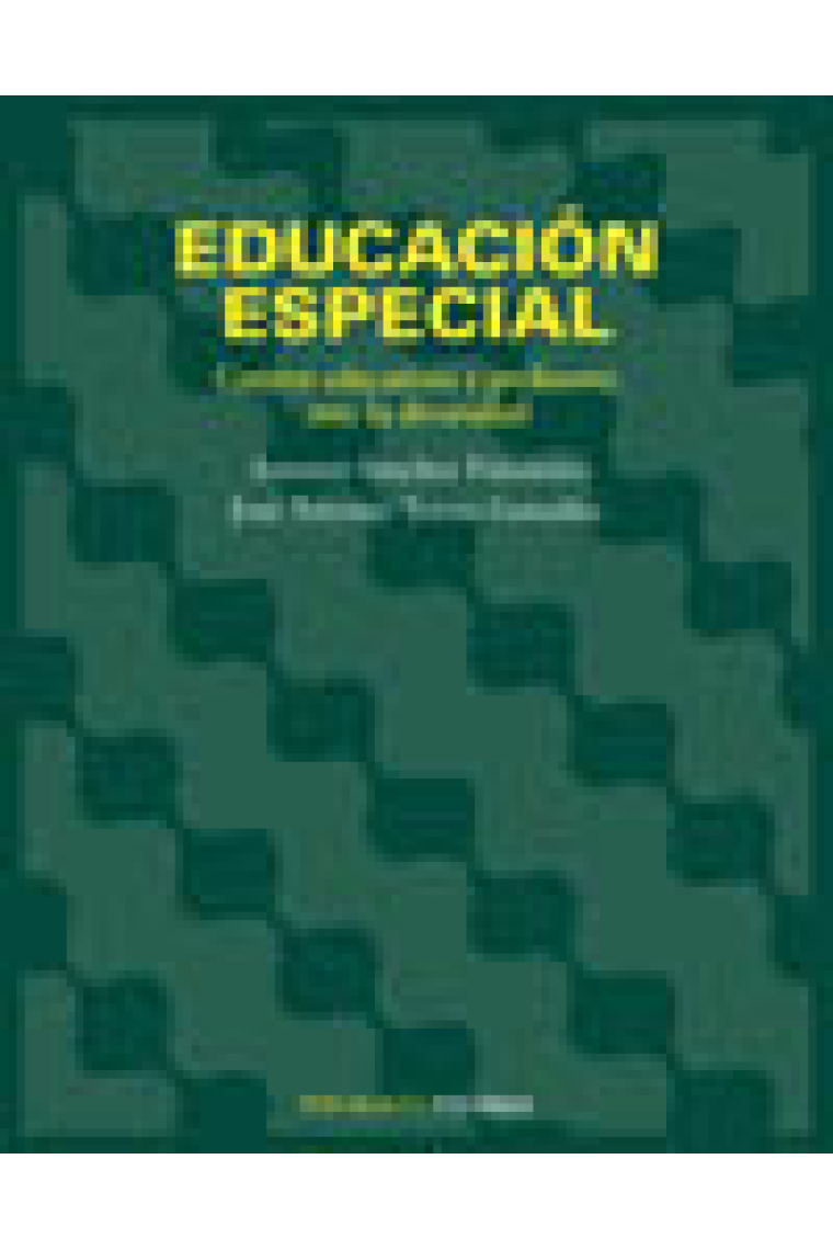 Educación especial : centros educativos y profesores ante la diversidad