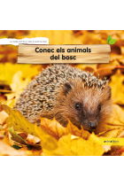 Conec els animals del bosc