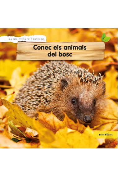 Conec els animals del bosc