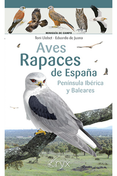 Aves rapaces de España, Península Ibérica y Baleares