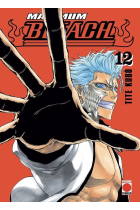 MAXIMUM BLEACH 12