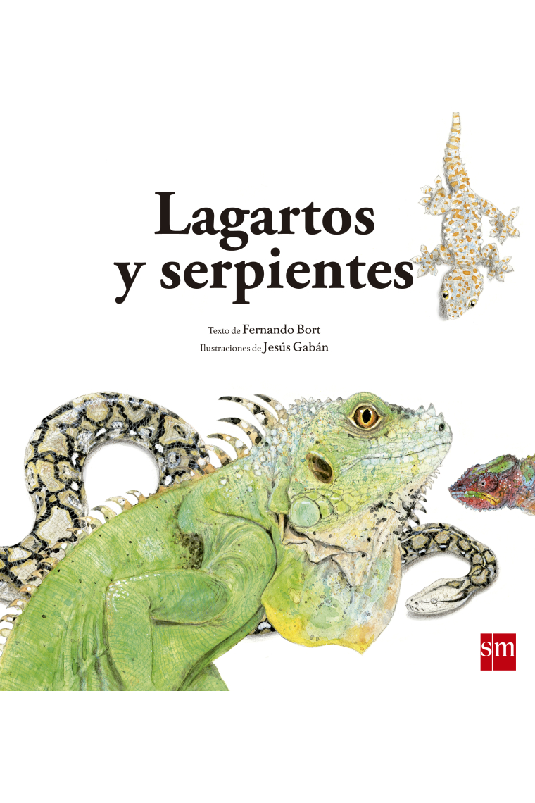 Lagartos y serpientes