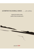 Autoretrat en un mirall convex