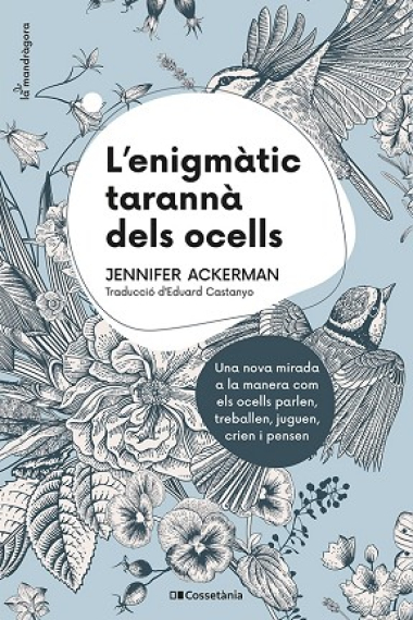 L'enigmàtic tarannà dels ocells