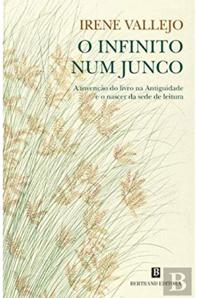 O Infinito num Junco