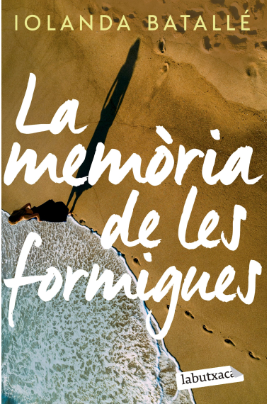 La memòria de les formigues