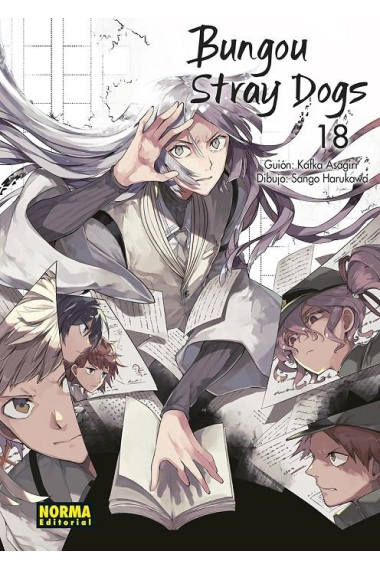 Bungou stray dogs 18