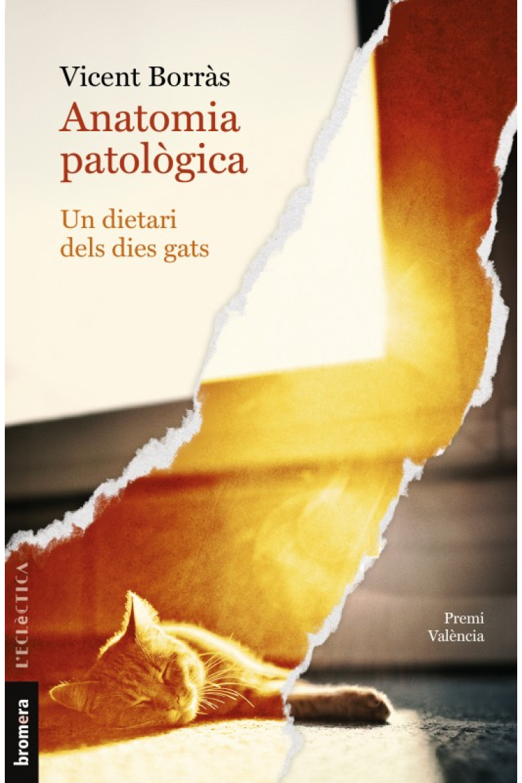 Anatomia patològica. Premi València de Narrativa