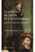 La esclavitud en Castilla en la Edad Moderna y otros estudios de marginados