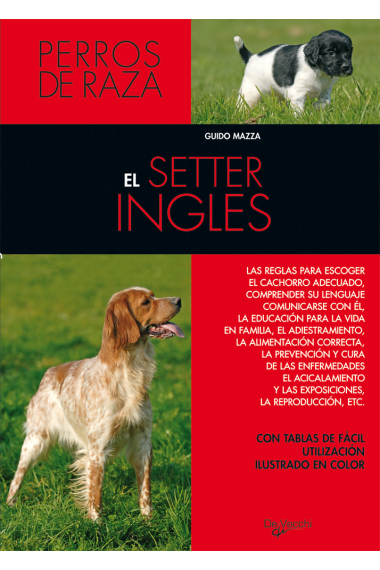 El Setter inglés. Perros de raza