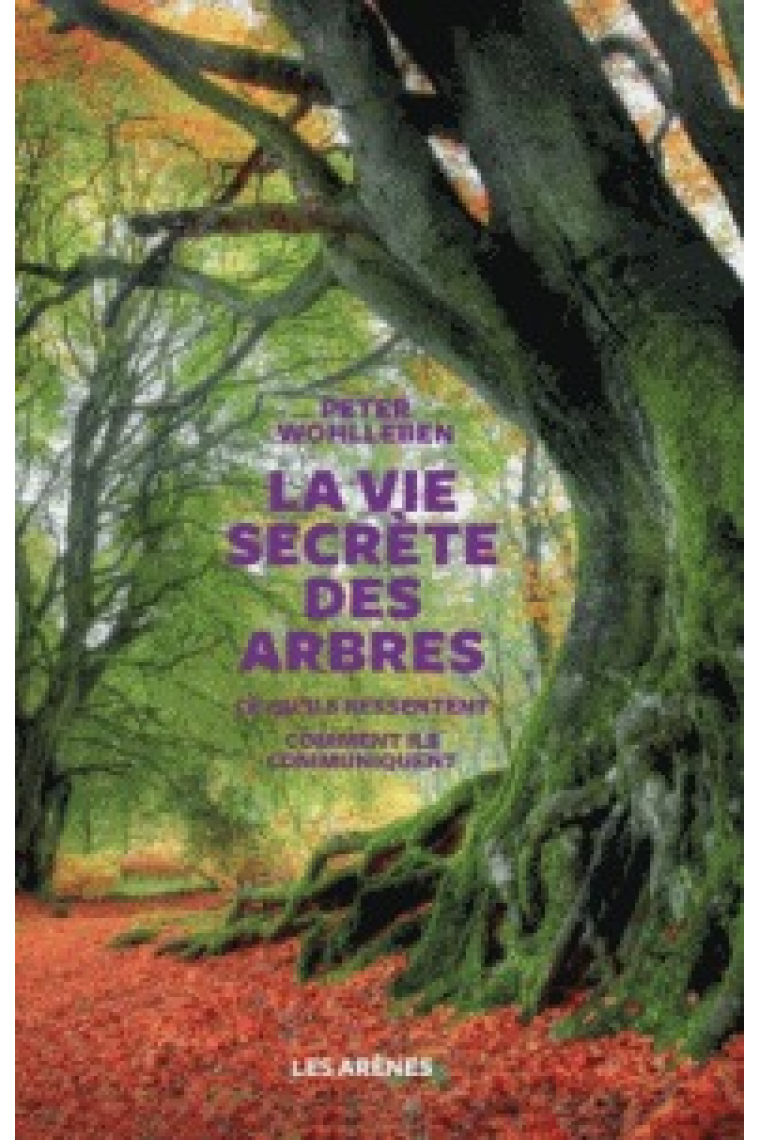 La vie secrète des arbres : ce qu'ils ressentent, comment ils communiquent : un monde inconnu s'ouvre à nous