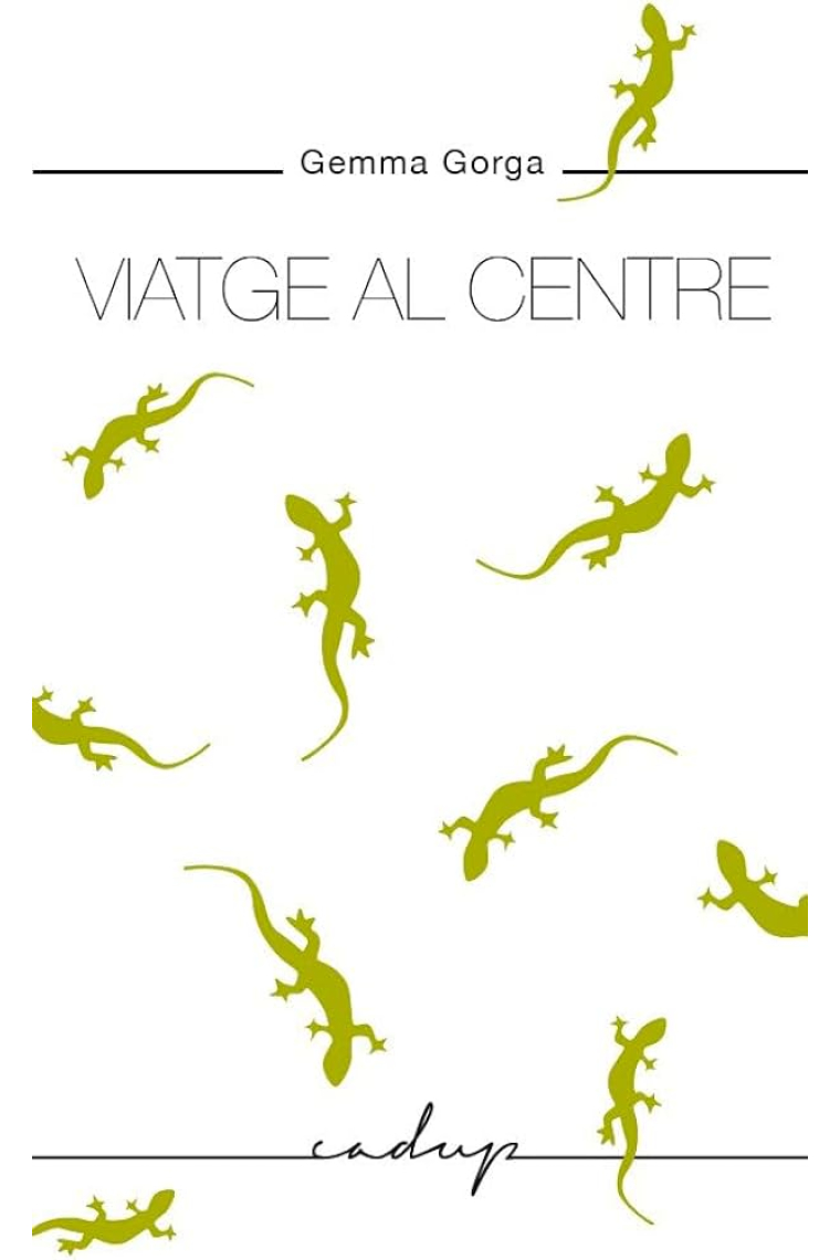 Viatge al centre