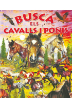 Busca els cavalls i ponis